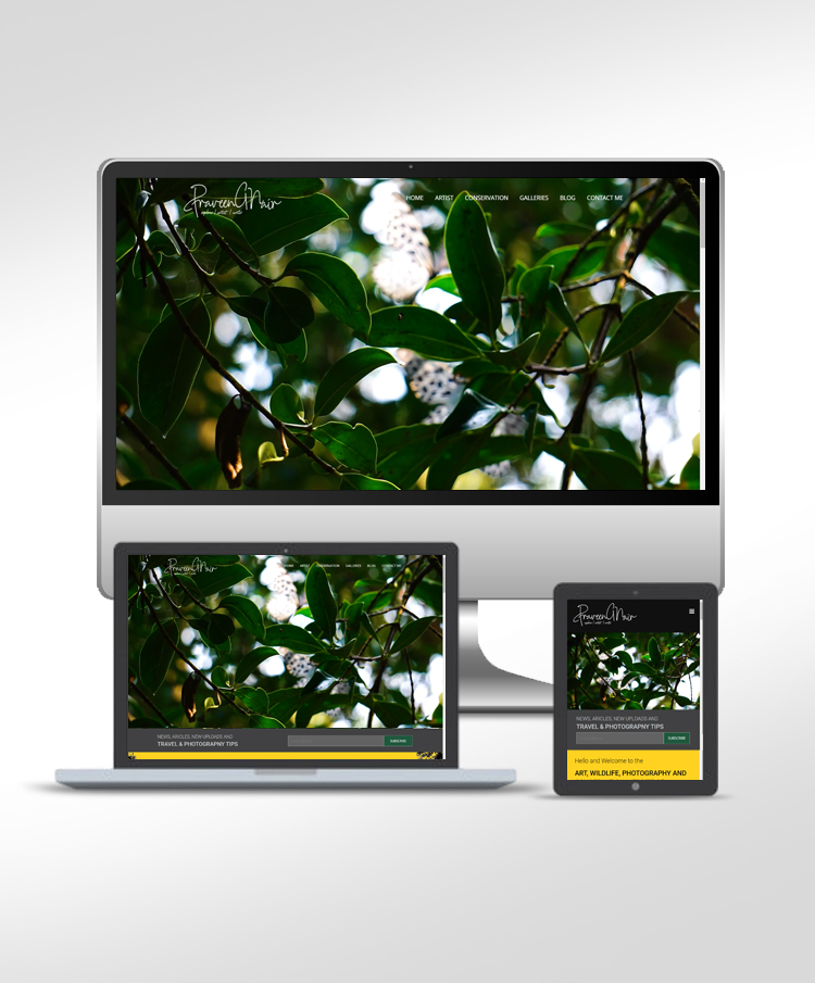 praveen g nair personal portfolio website 