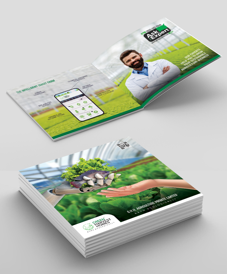creative brochure designing